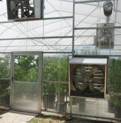 Greenhouse Ventilation Fans